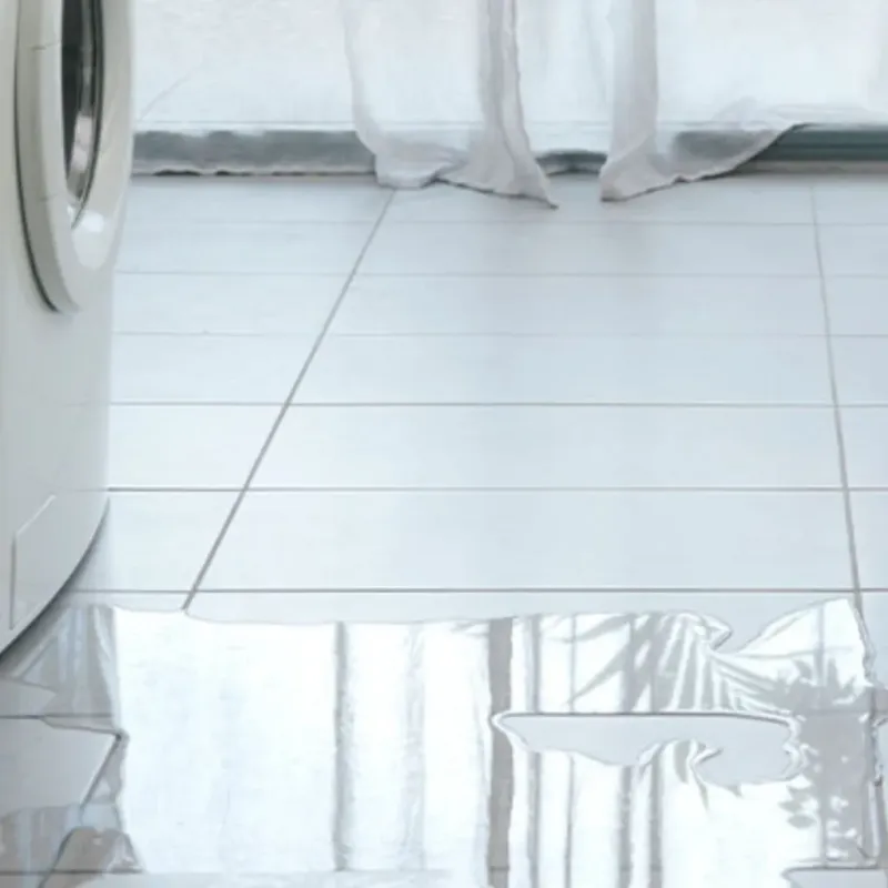 Appliance Leak Cleanup in Plymouth County, IA