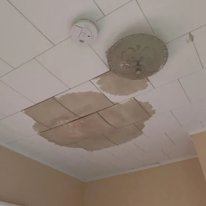 Ceiling Water Damage Repair in Plymouth County, IA