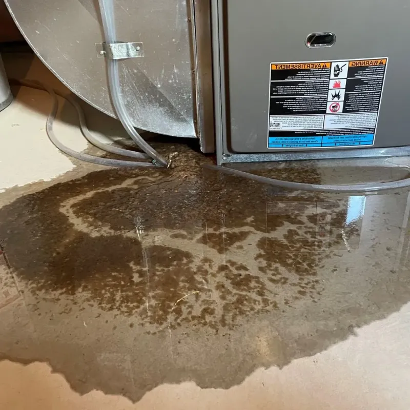 Pipe Burst and Leak Restoration in Plymouth County, IA