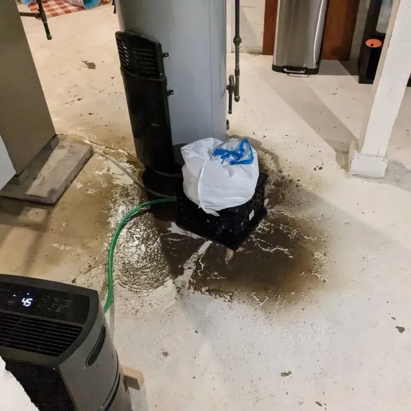 Sewage Backup Cleanup Service in Plymouth County, IA